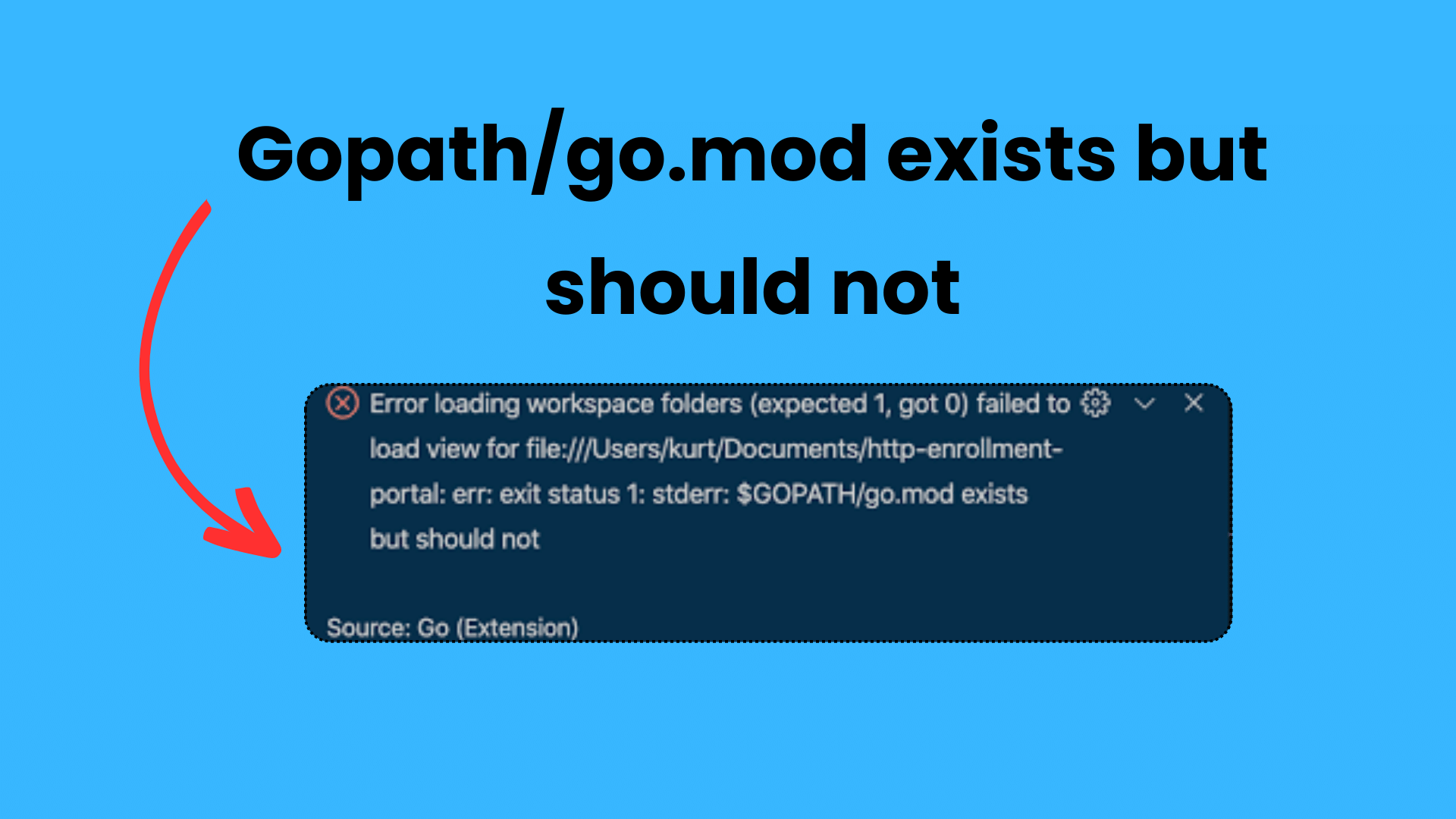 $gopath/go.mod exists but should not