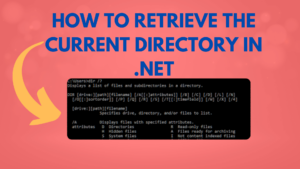 How to Retrieve the Current Directory in .NET